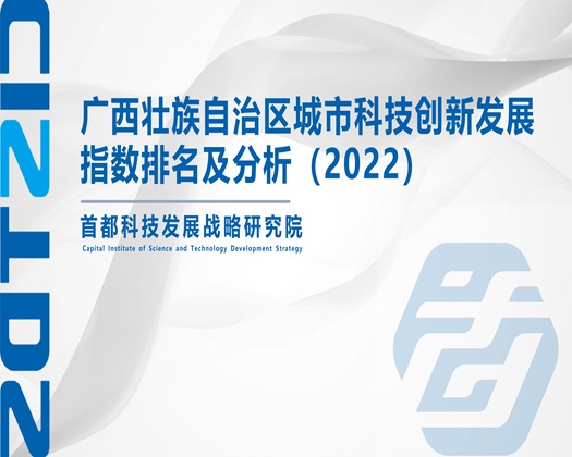 日B<爽【成果发布】广西壮族自治区城市科技创新发展指数排名及分析（2022）